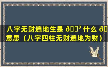 八字无财遍地生是 🐳 什么 🦅 意思（八字四柱无财遍地为财）